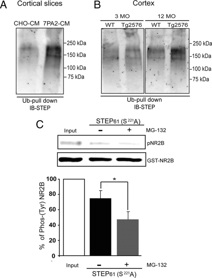 Figure 7.