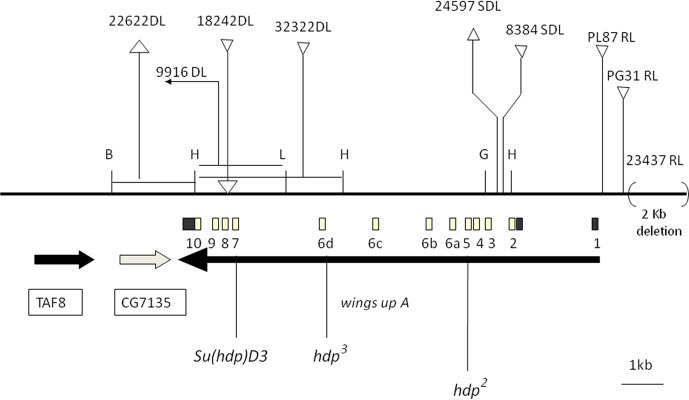 Fig 1