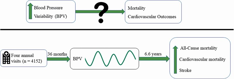 Graphical Abstract