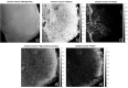 Fig. 8.