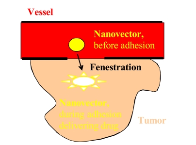 Fig. (1)