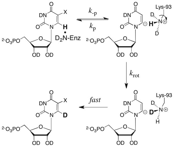 Scheme 9