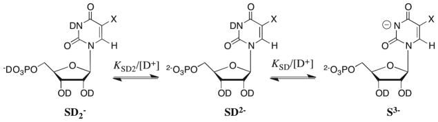 Scheme 5