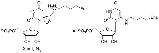 Scheme 7