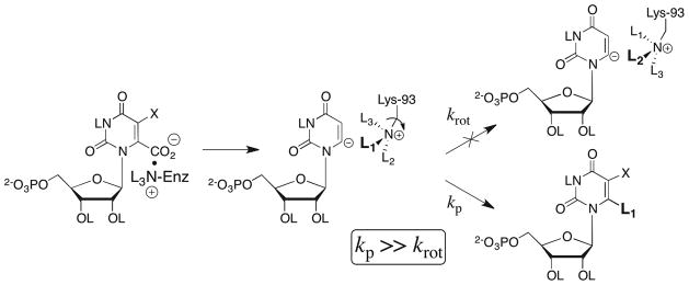 Scheme 8