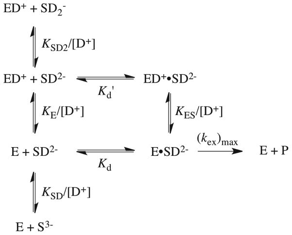 Scheme 6