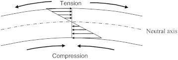 Fig. 16