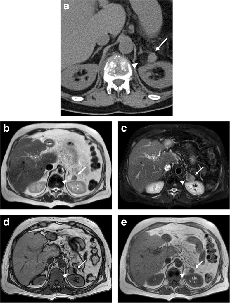 Fig. 5