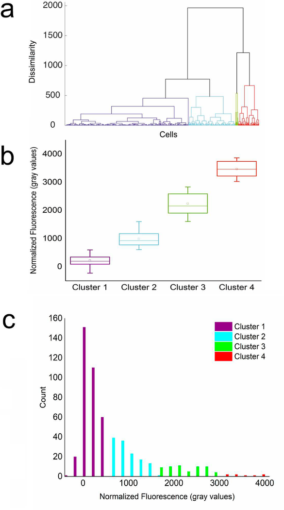 Fig 3.