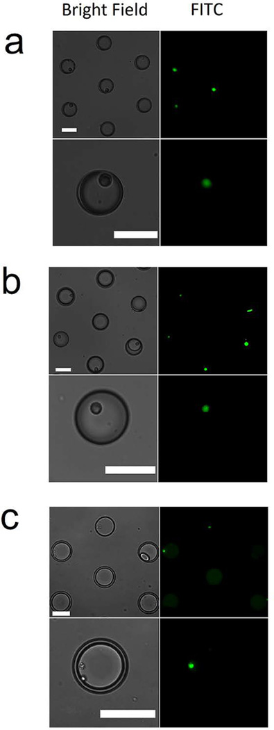 Fig 2.