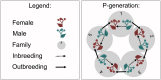 Figure 1—figure supplement 2.