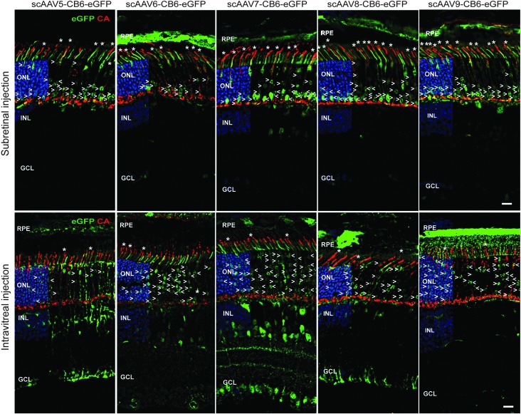 Figure 4.