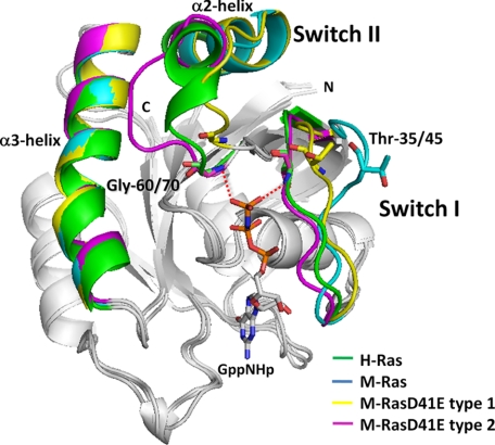 FIGURE 1.