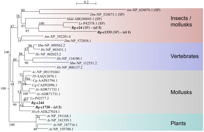 Figure 9