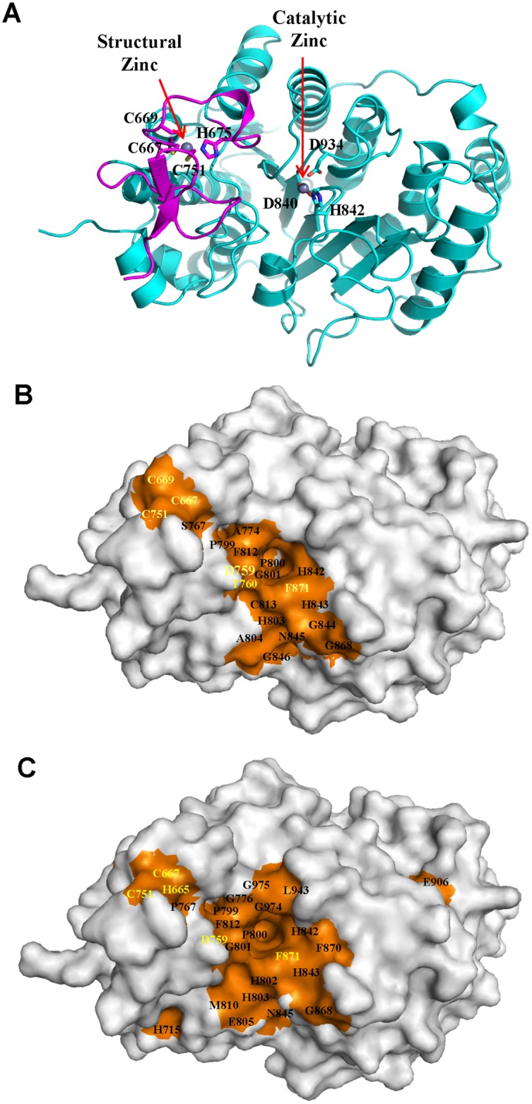 Fig 5