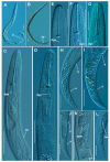 Figure 15