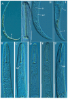 Figure 14