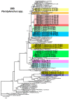 Figure 20