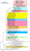 Figure 22