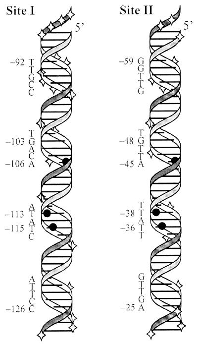 FIG. 6