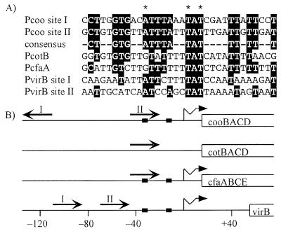 FIG. 7