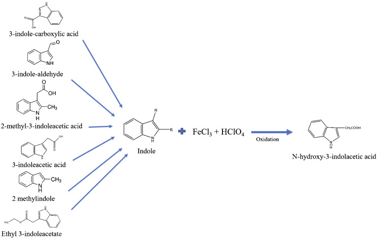 Figure 4