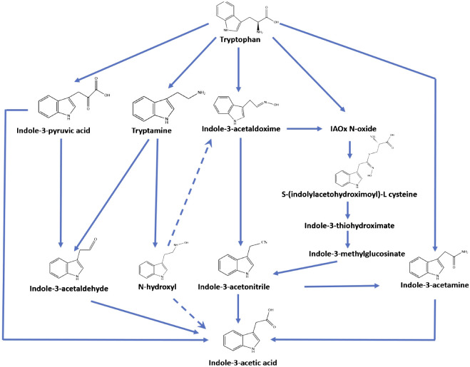 Figure 1