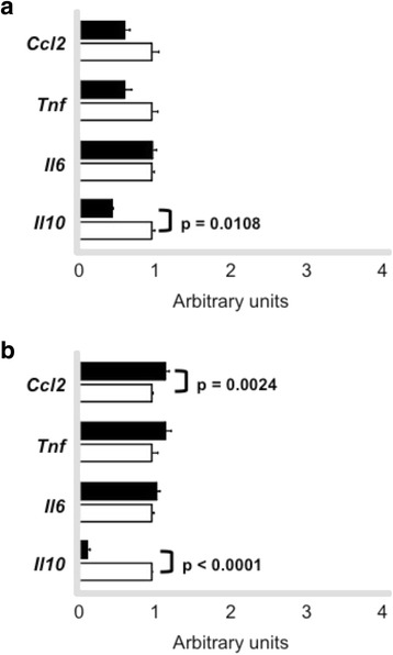 Fig. 12