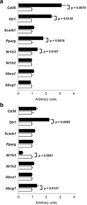 Fig. 11