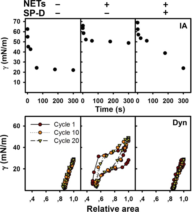 Fig. 8