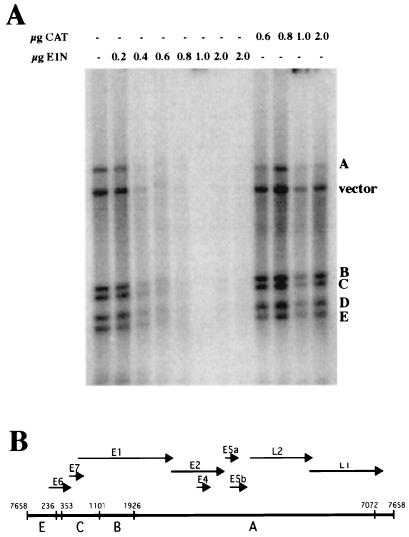 FIG. 6