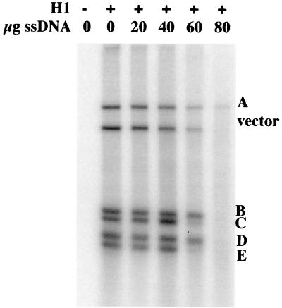 FIG. 7