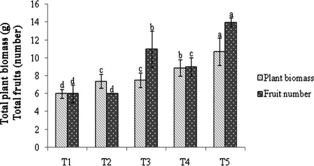 Fig. 6