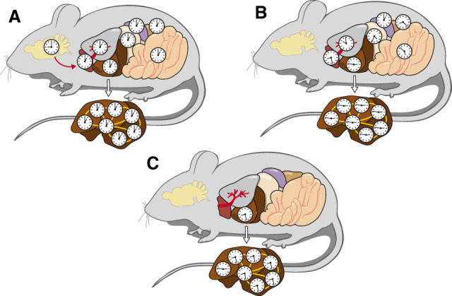 Figure 5.