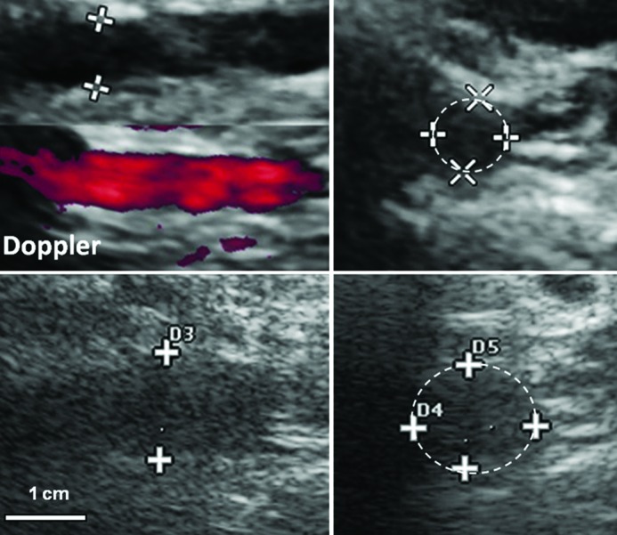 Figure 6.