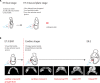 Figure 1—figure supplement 1.