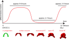 Figure 10.