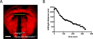 Figure 4—figure supplement 2.