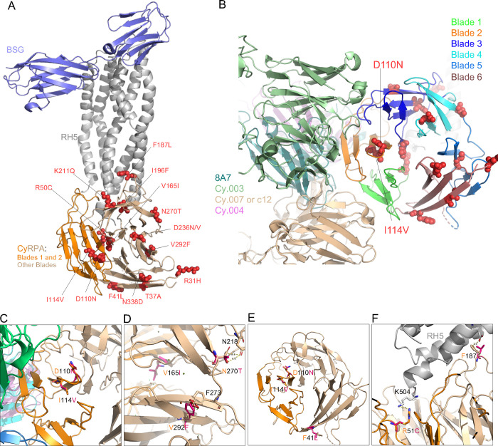 Figure 2: