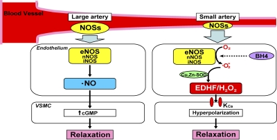 Figure 9.