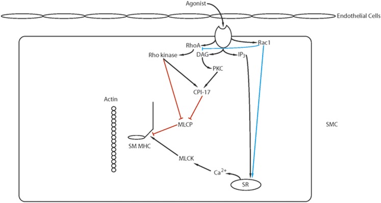 Fig. 5.