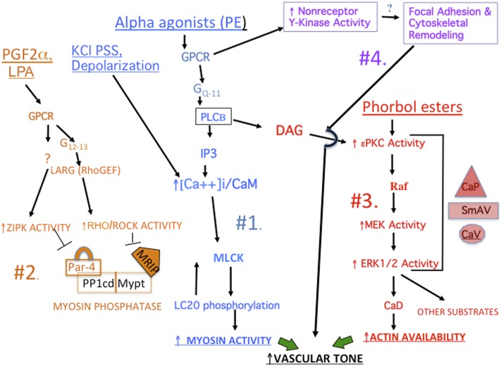 Fig. 3.