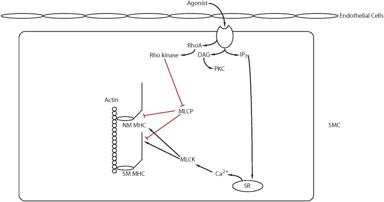 Fig. 7.