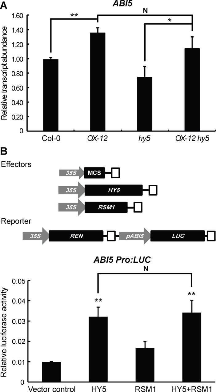 Fig 10