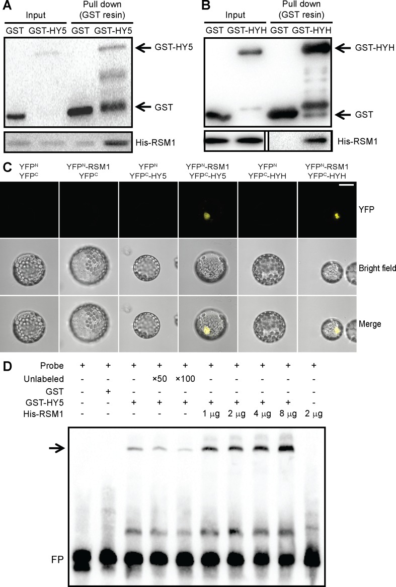 Fig 9