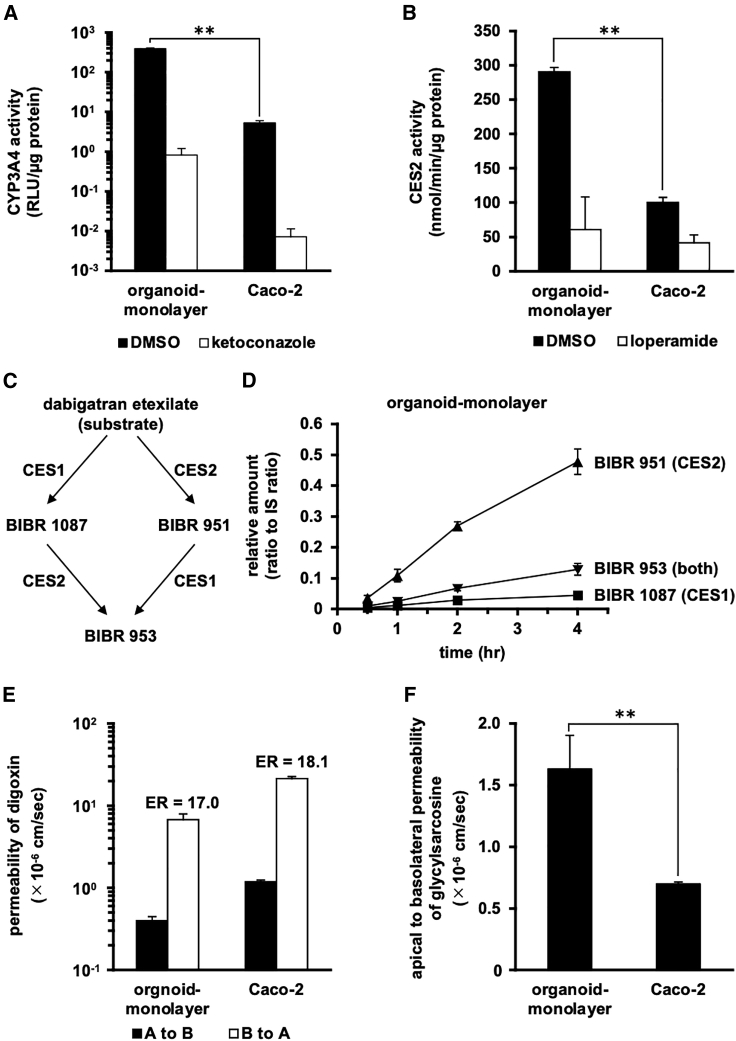 Figure 4