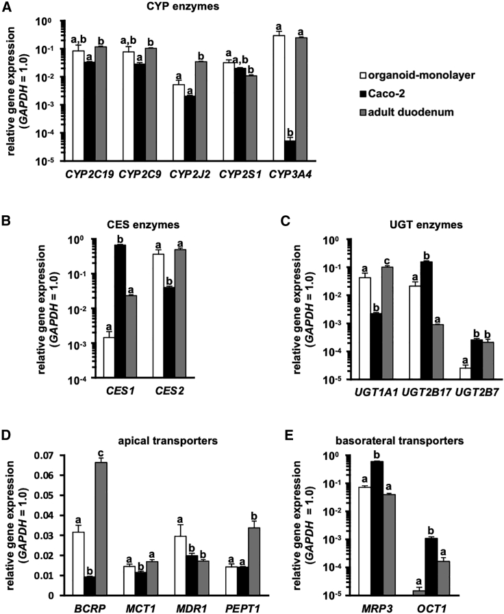 Figure 3