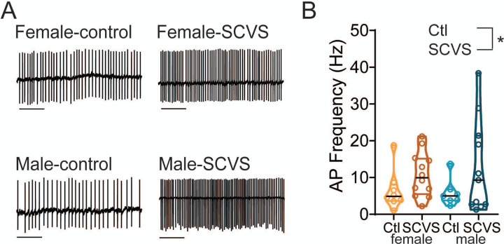 Figure 4: