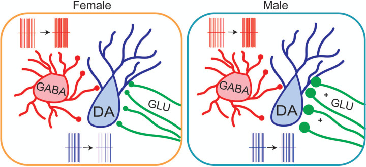 Figure 6: