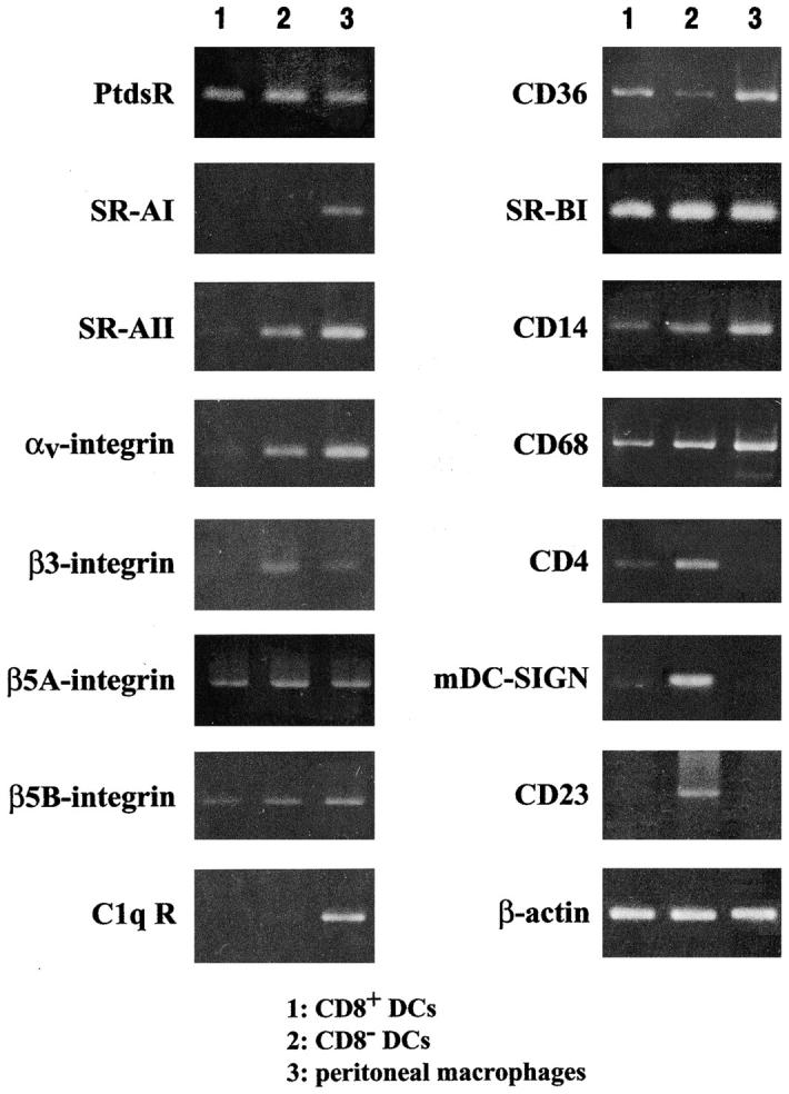 Figure 9.